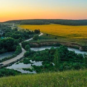 Meet your Posher, Elisabeth